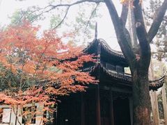 -汇龙潭