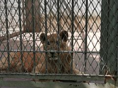 -西安秦岭野生动物园