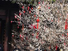 -钱王祠
