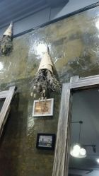 -M3 Hair Studio