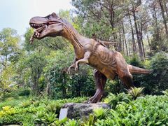 -森波拉奇妙世界