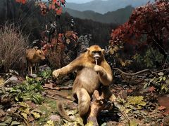 -陕西自然博物馆