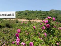-妙峰山风景名胜区