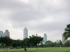 -万绿园