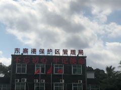 -东寨港红树林旅游区