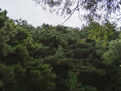 -云峰山自然风景区