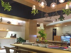 -柴务处·柴犬主题狗咖