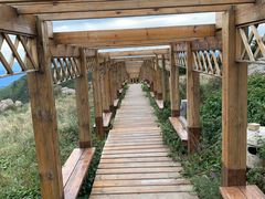 -白草畔自然风景区