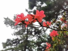 -敬亭山风景名胜区