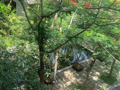 -七仙岭温泉国家森林公园