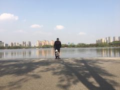 -尚贤河湿地