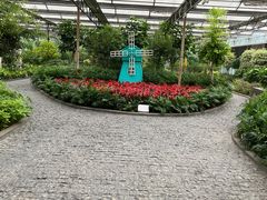 -南宫五洲植物乐园