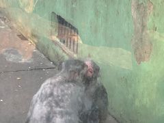 -荆州中山公园动物园