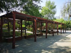 -大兴滨河森林公园