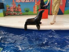 -成都浩海立方海洋公园