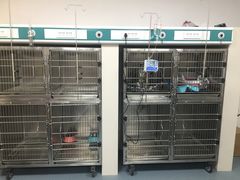 -奈斯宠物医院·核磁CT·异宠专科·内镜(中南店)