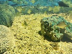 -北戴河圣蓝海洋公园