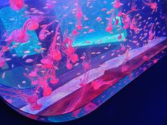 -海合安青岛极地海洋公园