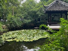 -上海醉白池公园