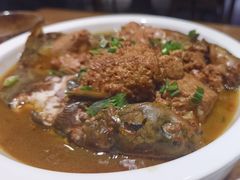 -鸽子窝(青塔店)
