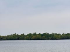 -丁香湖公园
