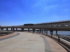 -演武大桥观景平台