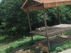 -西安秦岭野生动物园