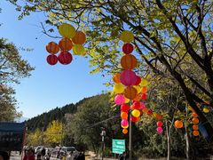 -北京十三陵国家森林公园蟒山景区