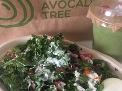 -油梨树AVOCADO TREE(嘉里中心店)