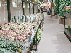 -鹿岛会员店 (龙湖三千集天街店)