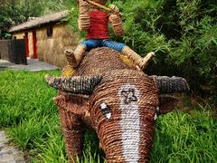 -溱湖国家湿地公园