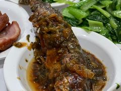 雪菜烧青占鱼-慧享福·福荟食堂