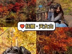 -天女山森林公园