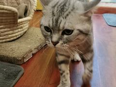 -H立方实景剧情密室(天河旗舰店)