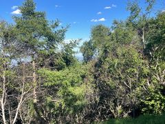 -白草畔自然风景区