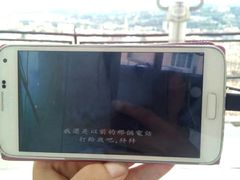 -圣母百花大教堂穹顶