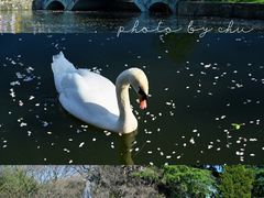 -莫愁湖公园