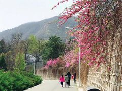 -北京鹫峰国家森林公园