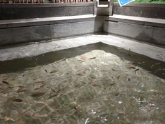 -明谷行馆·温泉