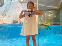 -帝企鹅自助餐厅•儿童岛•真企鹅(长隆企鹅酒店)