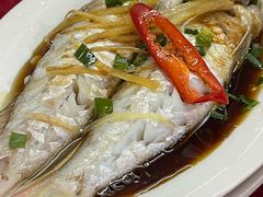 -蛇口康乐快餐鱼仔档(翠苑小区店)