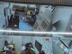 -唐小姐の私宠·宠物洗护美容·撸猫馆·购宠(周浦万达旗舰店)