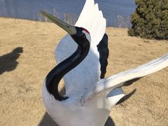 -盐城丹顶鹤湿地生态旅游区