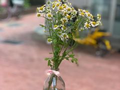 -Line 咖啡(石厦花园店)