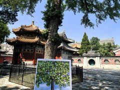 -皇家御河游(紫御湾码头)