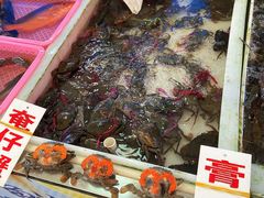 -大湾区中央湿地公园-十九涌