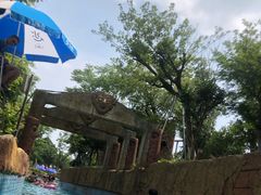 -苏州乐园森林水世界