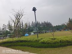 -上海长兴岛郊野公园