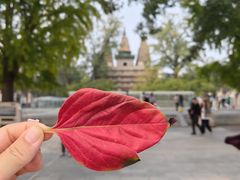 -北京石刻艺术博物馆(五塔寺)