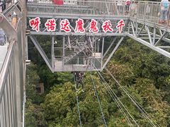 -呀诺达热带雨林